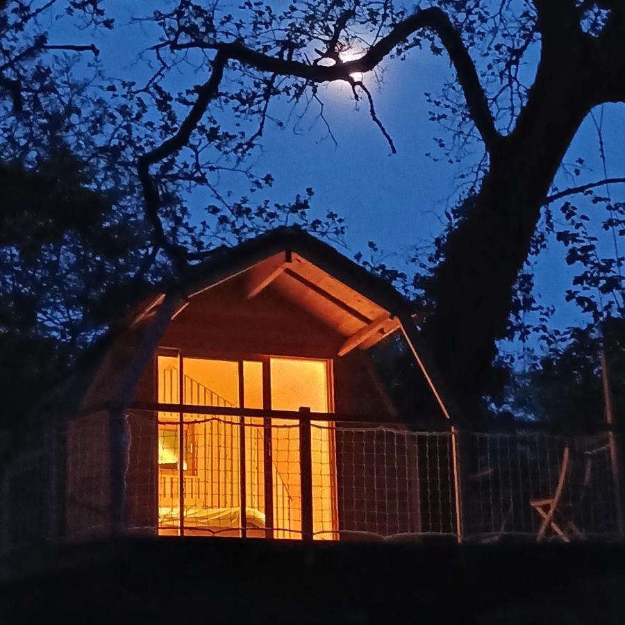 Chambres D'Hotes Au Chateau De Gizeux Esterno foto